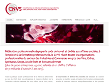 Tablet Screenshot of cnvs.info